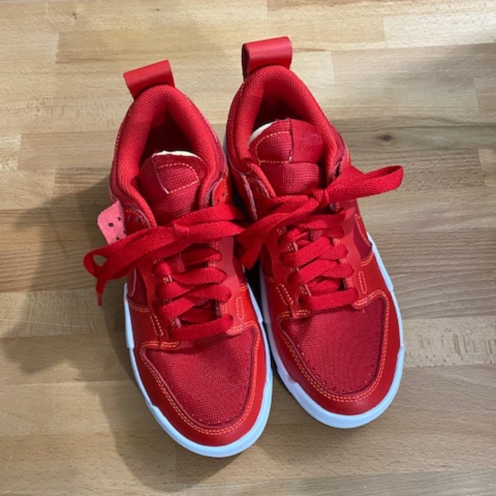 Nike Dunk Low Disrupt